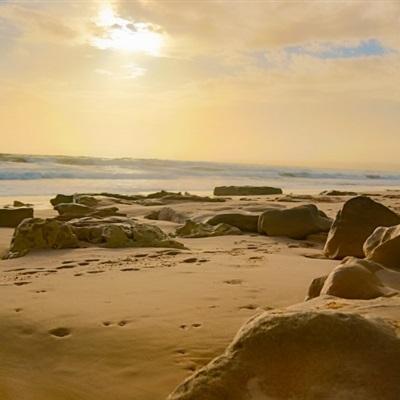 半岛·体育官网下载