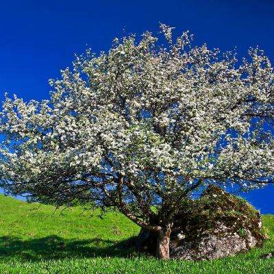 盈彩网app下载截图